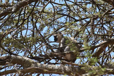 DSC_4028 (Large).JPG